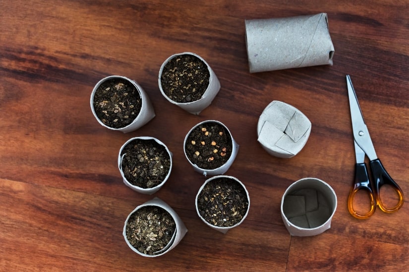 frugal seed containers out of toilet paper tubes