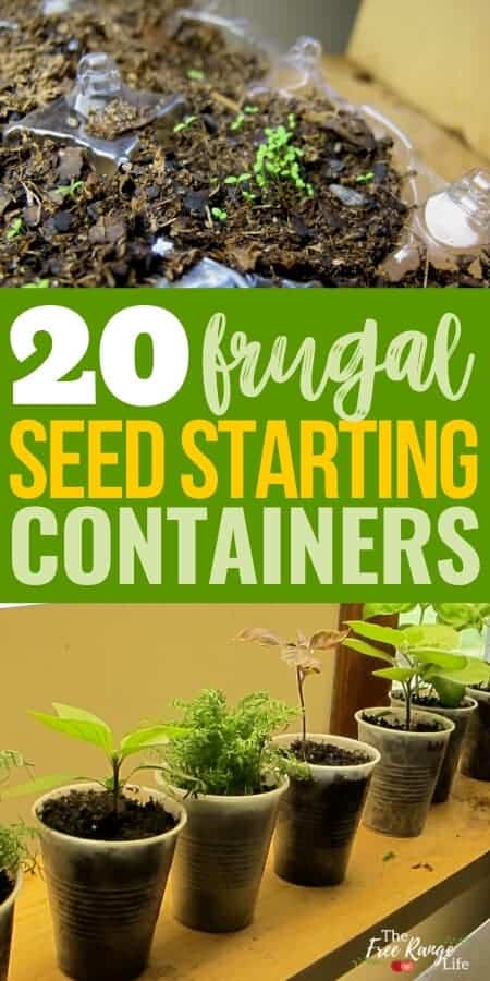 20 frugal seed starting containers with picture of seedlings in a plastic egg carton and plastic cups