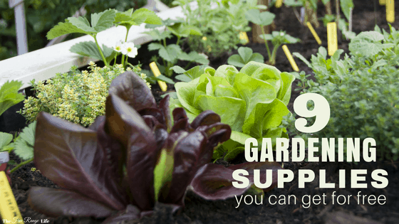 Free gardening supplies