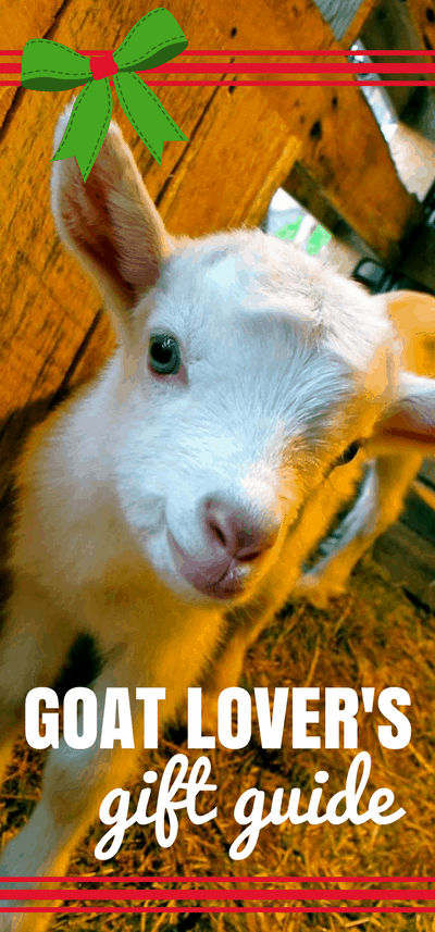 Need gift ideas for Goat Lovers? Here are 12 super cute gift ideas the crazy goat lady in your life is sure to love! Gift Guide | Goat Inspired Gift Ideas | Raising Goats