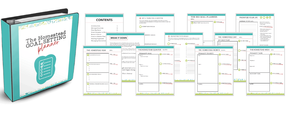 preview pages of the homestead goal planner