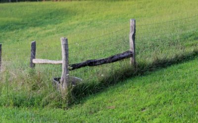 6 Fencing Mistakes That Cost You Time and Money