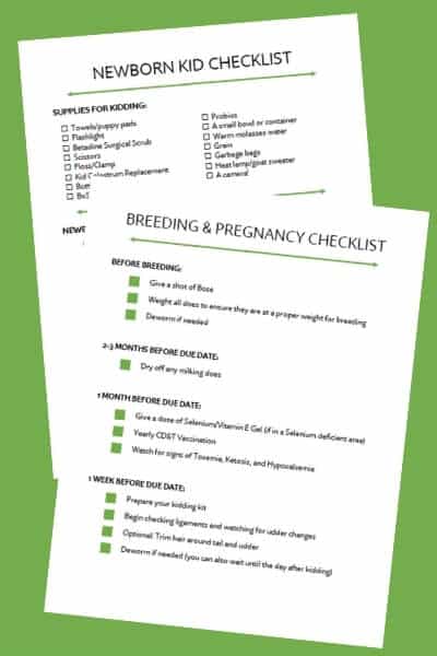 picture of goat pregancy checklist and kidding checklist pages 