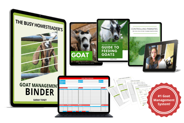 preview of goat management binder system and contents