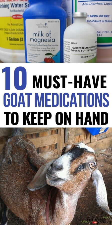 What You Don't Know About Goats, But Should