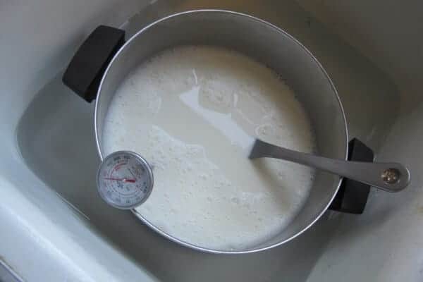 pot of goat milk cooling in an ice bath 