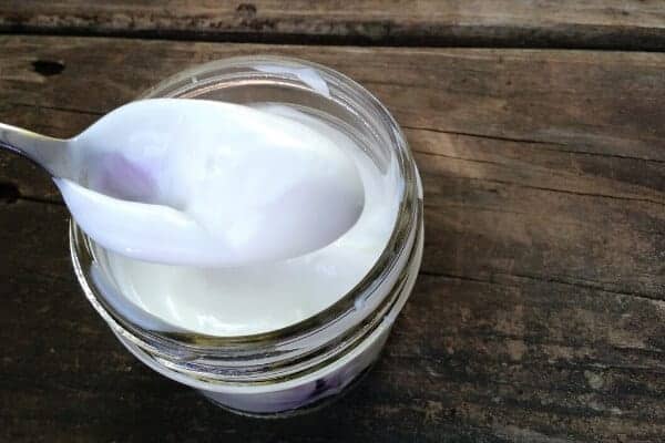 goat milk yogurt in a small jar with a spoon full