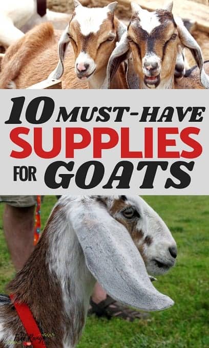 Must-Have Goat Care Supplies