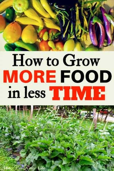 Do you want to grow your own food but have a full time job? Are you overwhelmed with the work in your garden? Try out these time-saving tips to grow more food in less time!