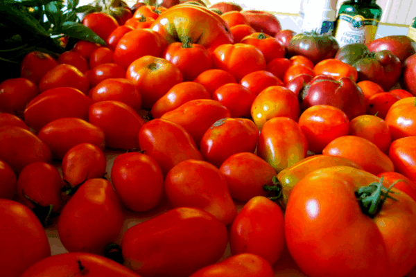 Growing Tomatoes: How to Harvest, Use and Preserve Tomatoes | Vegetable Gardening for Beginners | Organic Gardening