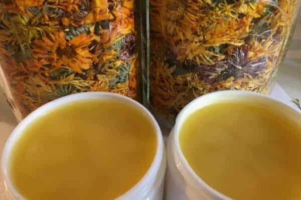 2 containers of healing salve open infront of dried calendula