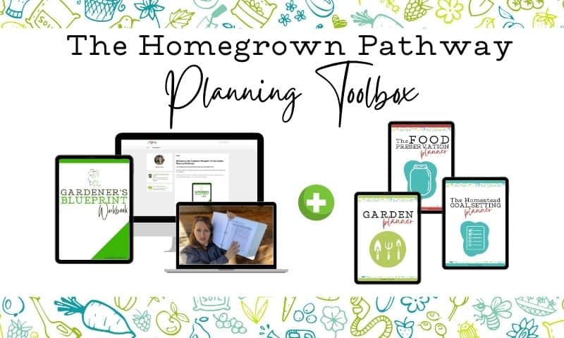 cover images of the homegrown pathway planning toolbox