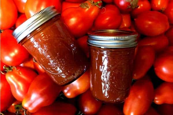 homemade ketchup- ketchup canned 