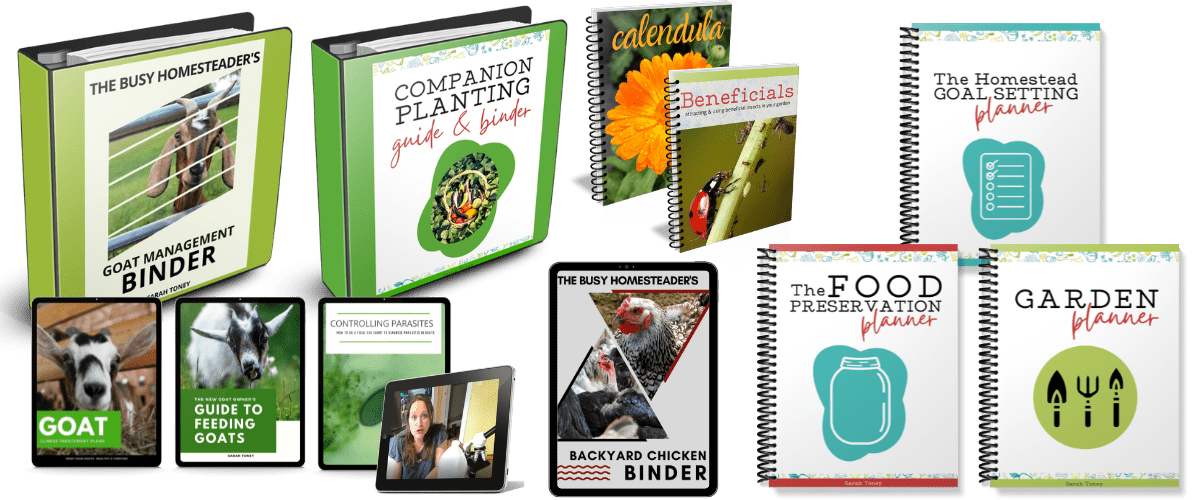 homesteaders collection with cover images