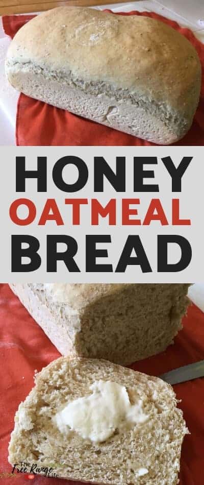 The BEST Homemade Bread recipe! This homemade honey oatmeal bread recipe will be a family favorite in no time!