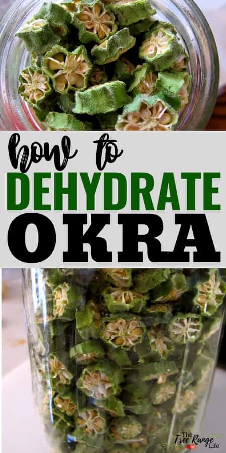 how to dehyrdate okra text with dried okra in a jar