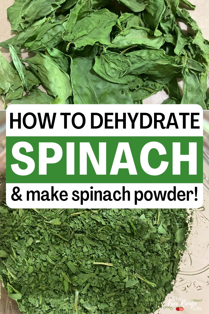 how to dehydrate spinach