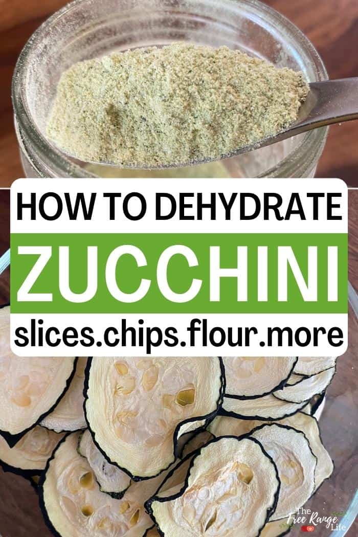 zucchini flour and dehydrated zucchini chips in a bowl with words how to dehydrate zucchini