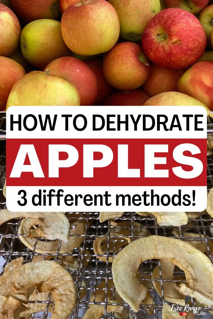 how to dehydrate apples 3 different methods