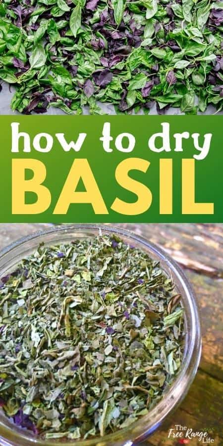 How to Dry Basil 2 Easy Methods for Drying Basil