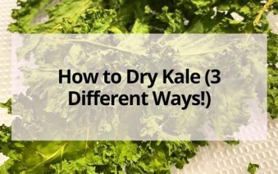 How to Dry Kale (3 Different Ways!)
