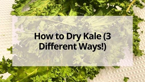 How to Dry Dill- 2 Easy Ways to Make Dried Dill