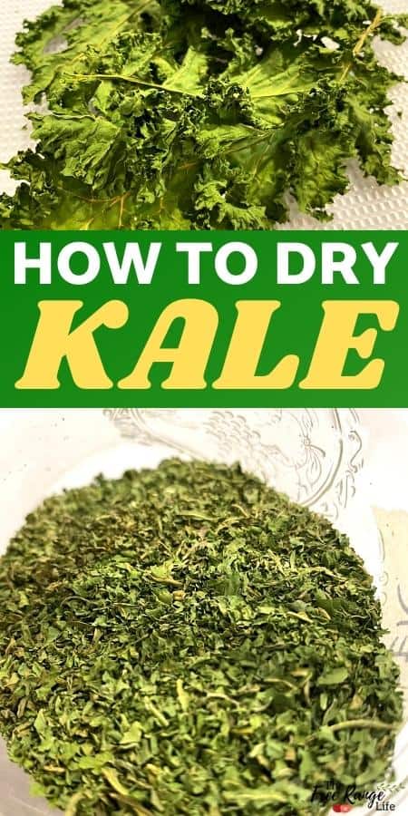 how to dry kale with picture of kale dried and powsdered