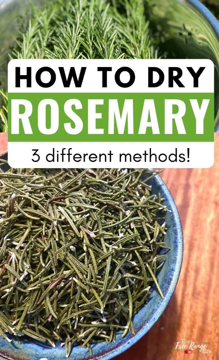 how to dry rosemary 3 different methods with pictures of fresh and dries rosemary