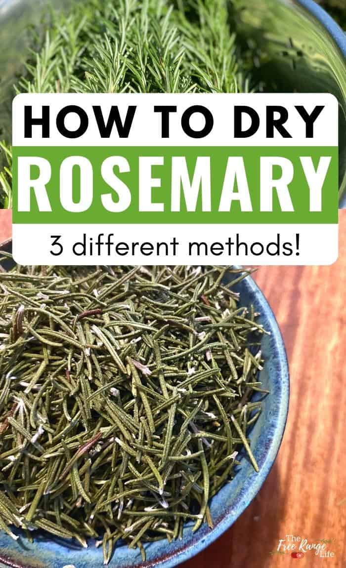 How to Dry Rosemary, Step by Step