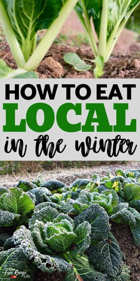 how to eat local in the winter with bok choy and frost covered cabbage