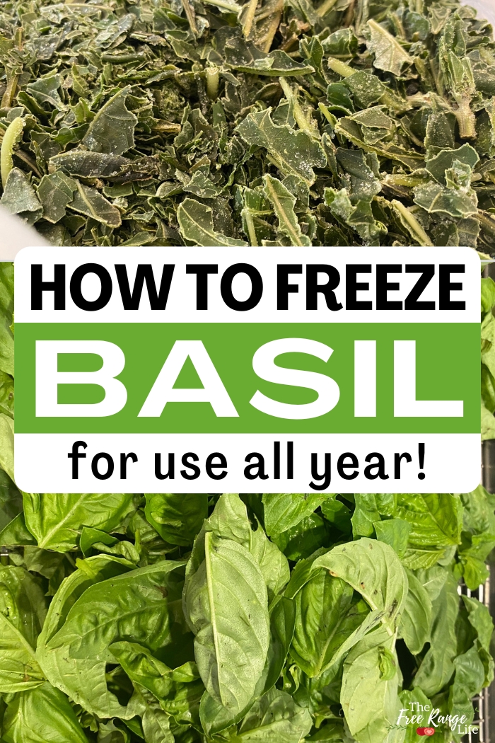 how to freeze basil for use all year