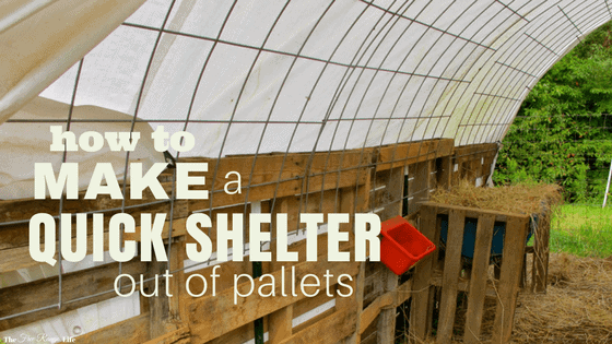 How to Make a Quick Shelter out of Pallets - The Free Range Life