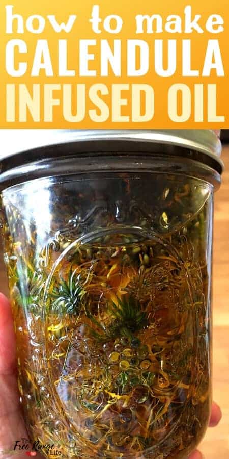 how to make calendula infused oil 