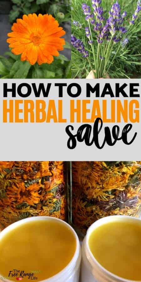 how to make herbal healing salve