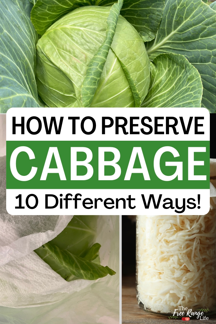how to preserve cabbage 10 different ways