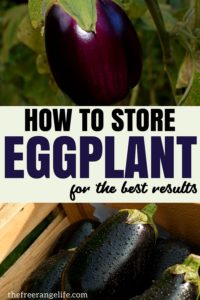 How to Store Eggplant for the Best Results (Hint: NOT the Fridge!)