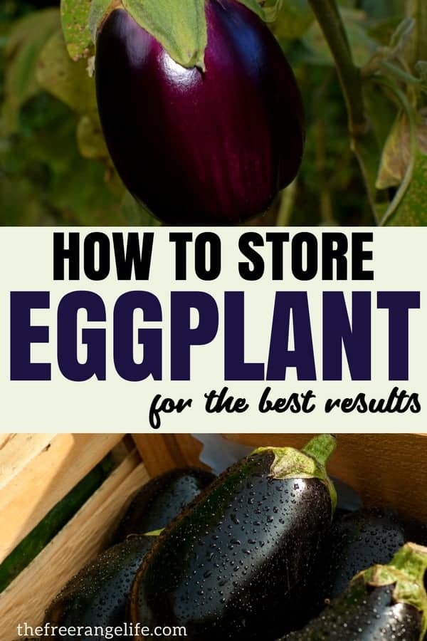 How To Store Eggplant For The Best Results Hint Not The Fridge