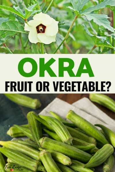 is okra a fruit or a vegetable?