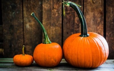 Is Pumpkin a Fruit or Vegetable? Well it Depends on Who You’re Asking…
