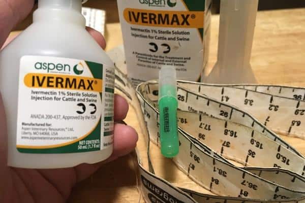 bottle of ivermectin with a needle and goat weight tape