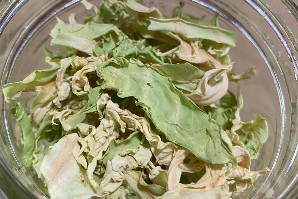 jar of dehydrated cabbage 