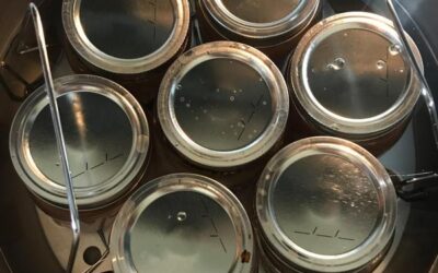 Are You Making These Canning Mistakes?
