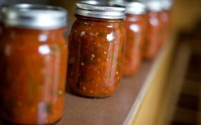 The Best Tomatoes for Making & Canning Salsa