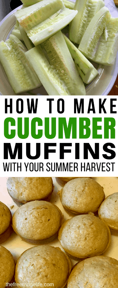 If you have fresh cucumbers piling up, try something new! These cucumber muffins are the perfect way to preserve your cucumber harvest. They freeze well and make an easy snack or breakfast and are perfect for packing in lunch boxes for school or work!