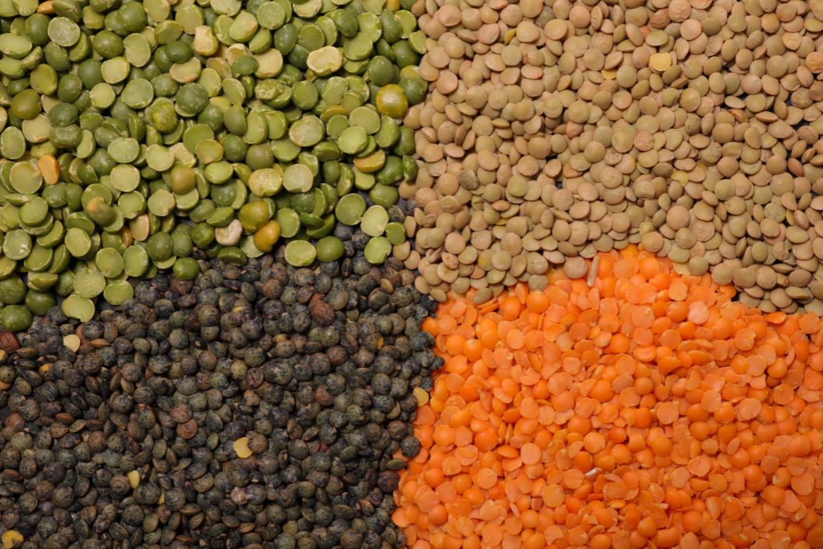 frugal foods: lentils of different colors