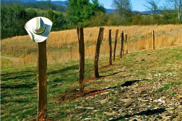 evenly spaced locust fence posts being secured in the ground