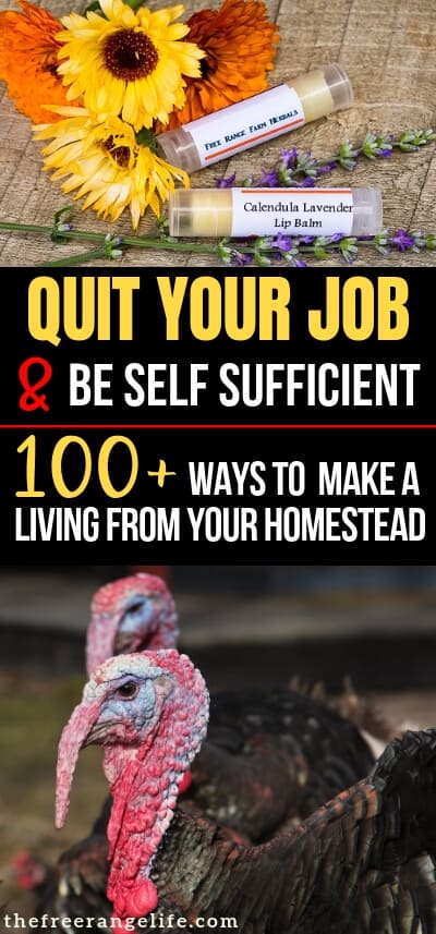 Do you want to quit your job and create a sustainable income from your homestead? Here are 100+ ways to make money farming just to get you started!