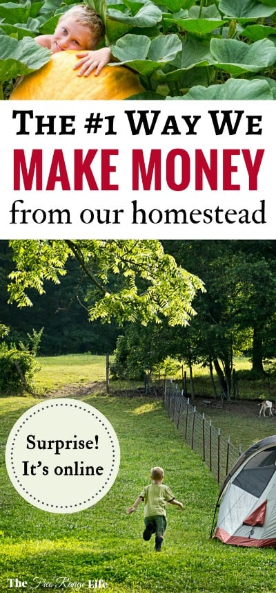 There are a million ways to make money from your homestead. Find out the surprising number one way we make money online from our homestead!