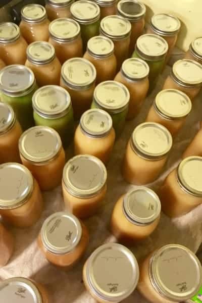 jars of homemade applesauce fresh from the canner