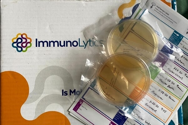 immunolytics mold plate testing kit with plates and labels